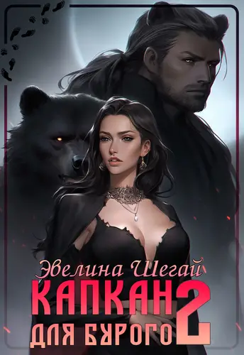Обложка книги Капкан для Бурого 2