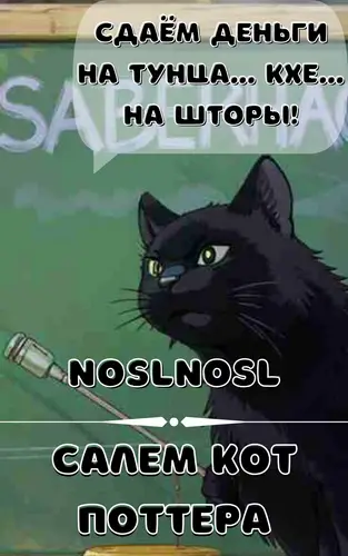 Салем кот Поттера - обложка