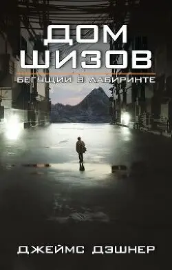 Обложка книги Дом шизов