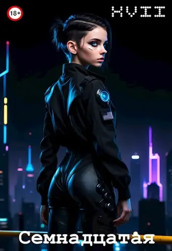 Семнадцатая - обложка