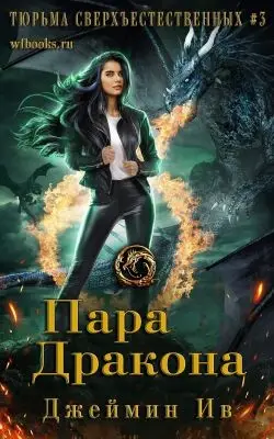 Пара дракона - обложка
