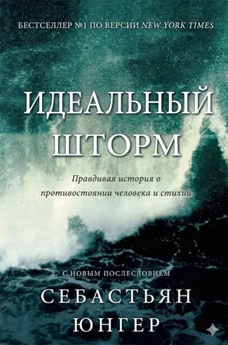 Идеальный шторм - обложка