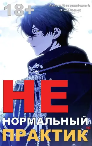 Ненормальный практик 10 - обложка