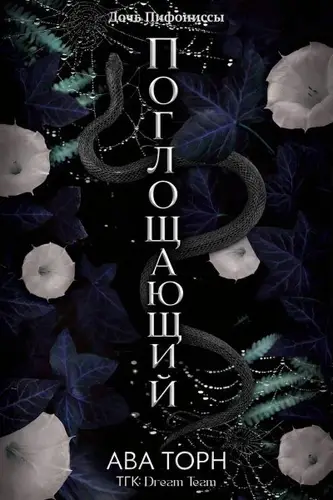 Поглощающий - обложка