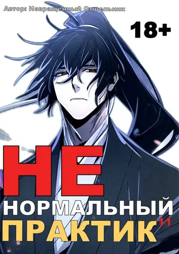 Ненормальный практик 11 - обложка