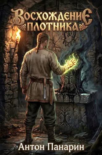 Восхождение Плотника 4 том - обложка