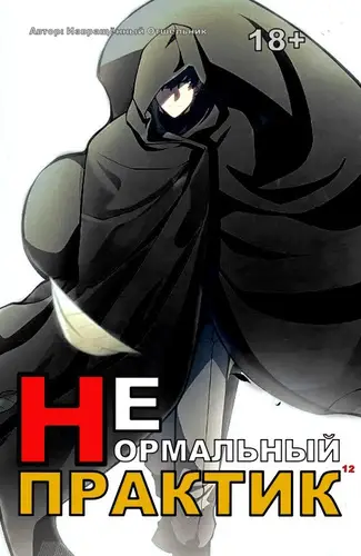 Ненормальный практик 12. Финал - обложка