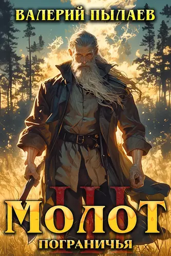 Молот Пограничья. Книга 3 - обложка
